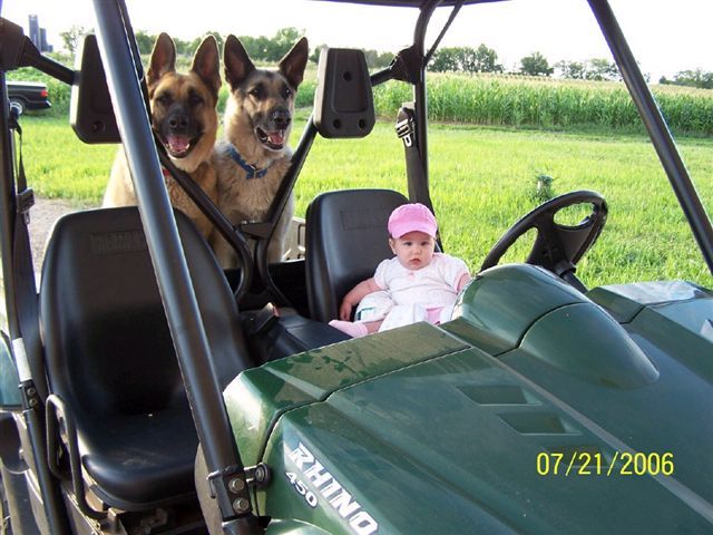 Ryan Plants Food Plots for Deer to Feed On Ryan Plants Food Plots for Deer to Feed On