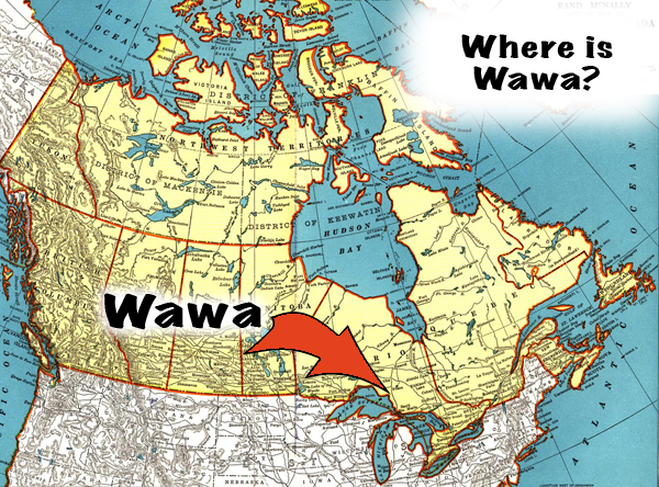 ATVing & UTVing in Wawa, Ontario and Thereabouts, Eh. ATVing & UTVing in Wawa, Ontario and Thereabouts, Eh.