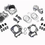 Join the Winners’ Circle With New DragonFire Racing Motors Join the Winners’ Circle With New DragonFire Racing Motors