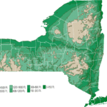 New York Bill Would Classify SSVs, UTVs for ATV Licenses New York Bill Would Classify SSVs, UTVs for ATV Licenses