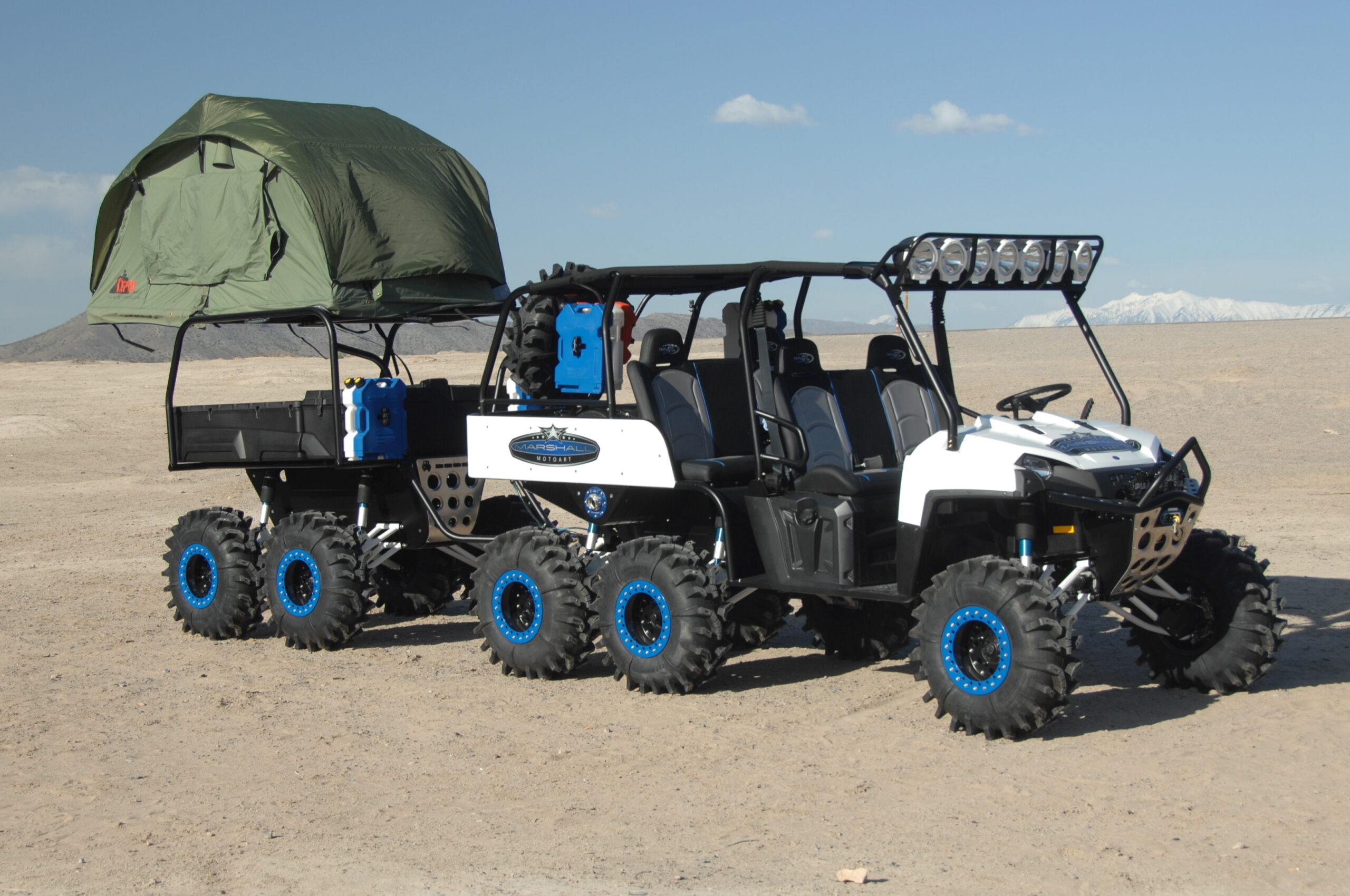 The Spider Monkey from Marshall Motoart The Spider Monkey from Marshall Motoart