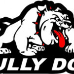 The Bully Dog Eco Boost Challenge The Bully Dog Eco Boost Challenge